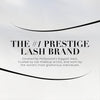 Lilly Lashes 3D Self Adhesive Eyelashes, No Lash Glue Needed, Body Heat Activated Press on Lashes, Reusable Self Adhesive Eyelashes Up to 5x, Easy to Apply & Remove (RuleBreaker)