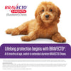 BRAVECTO 1-Month Flea & Tick Chew for Puppies, 1 Chew, 1 Month Supply, >9.9-22 lbs., Orange Box