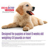BRAVECTO 1-Month Flea & Tick Chew for Puppies, 1 Chew, 1 Month Supply, >9.9-22 lbs., Orange Box
