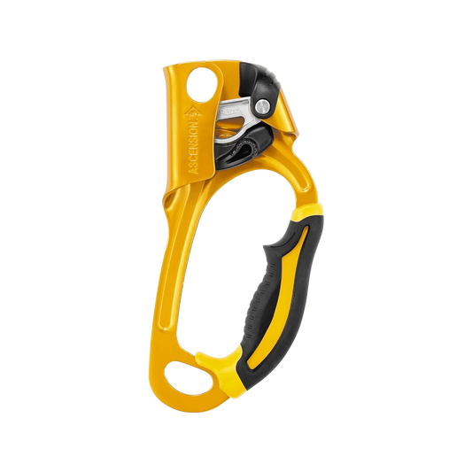 Petzl Ascension Right Hand Rope Ascender for Climbing